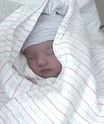  One day old, and already gorgeous