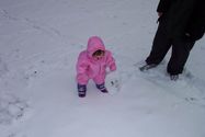 Making a small snowman