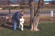 Climbing the tree