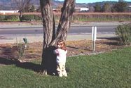Hide-n-go-seek