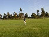 Just starting to get the kite flying