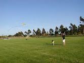 The kite is finally up and flying