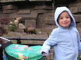 Kaija and bears