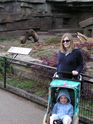 Kaija & Heather and bears