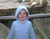 Kaija and lions