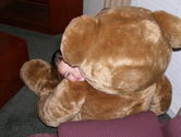 Peek-a-boo bear