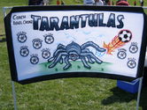 Kaija's team is the Tarantulas