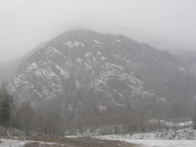 Winter wonderland
