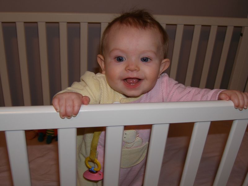 Gratuitous cuteness shot
