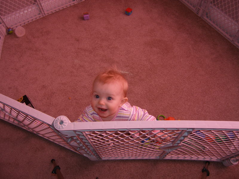 Gratuitous cuteness shot
