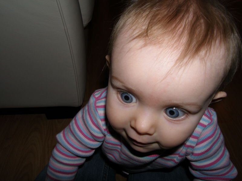 Gratuitous cuteness shot
