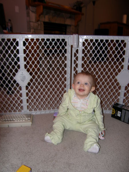 Gratuitous cuteness shot
