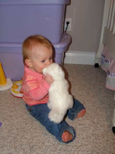 Kitty kisses
