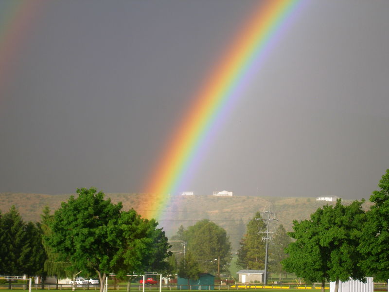Okanagan rainbow
