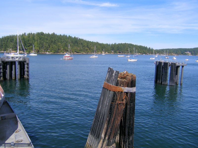 Friday Harbor, San Juan Island
Keywords: Seattle, Victoria, Anacortes ferry, Friday Harbor, San Juan Island