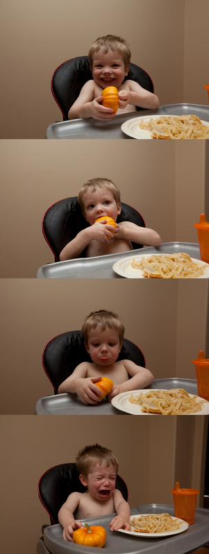 James, trying to eat his pumpkin friend
