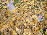 Filename=2005-10-28-0002.jpg
Filesize=783KiB
Dimensions=2272x1704
Date added=Oct 30, 2005 2005-10-28-0002.jpg