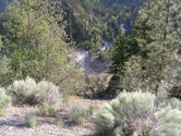 2006-05-17-0008.JPG
