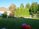 2006-08-05-0100.JPG