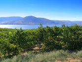 2006-08-25-poplar-grove-winery-0080.JPG