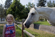 20090806_Misc_6033.jpg