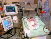 PB280020.JPG