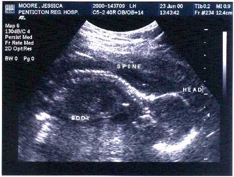 Kaija's very first picture ever!
