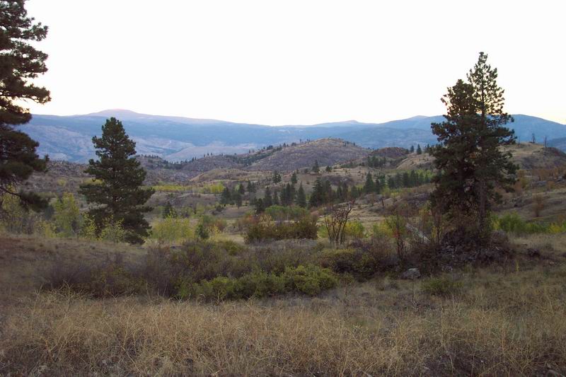Sawmill Lake
