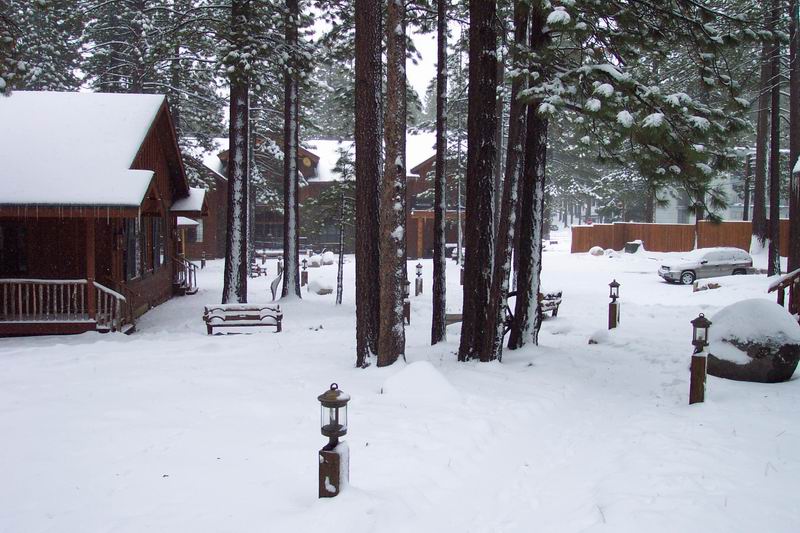 Black Bear Inn
