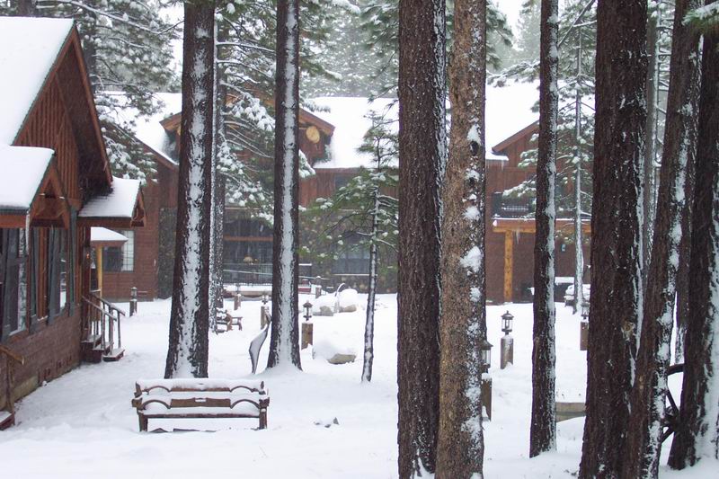 Black Bear Inn
