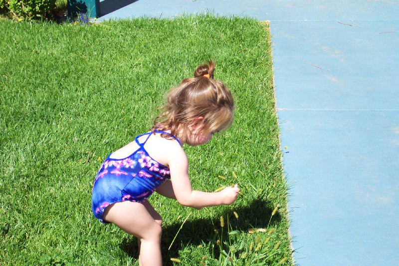 Picking flowers
