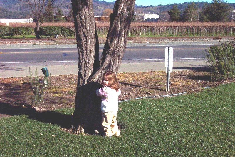 Hide-n-go-seek
