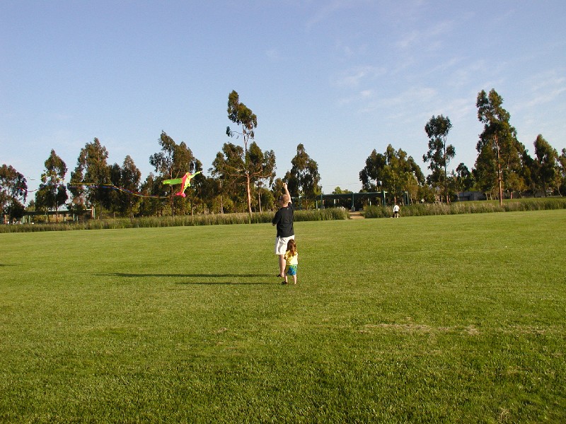 Just starting to get the kite flying
