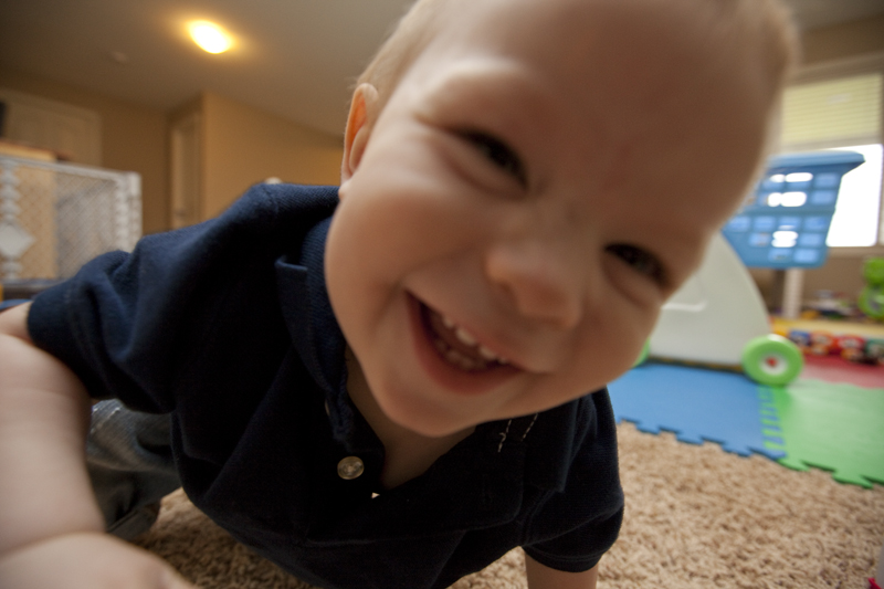Gratuitous cuteness shot
