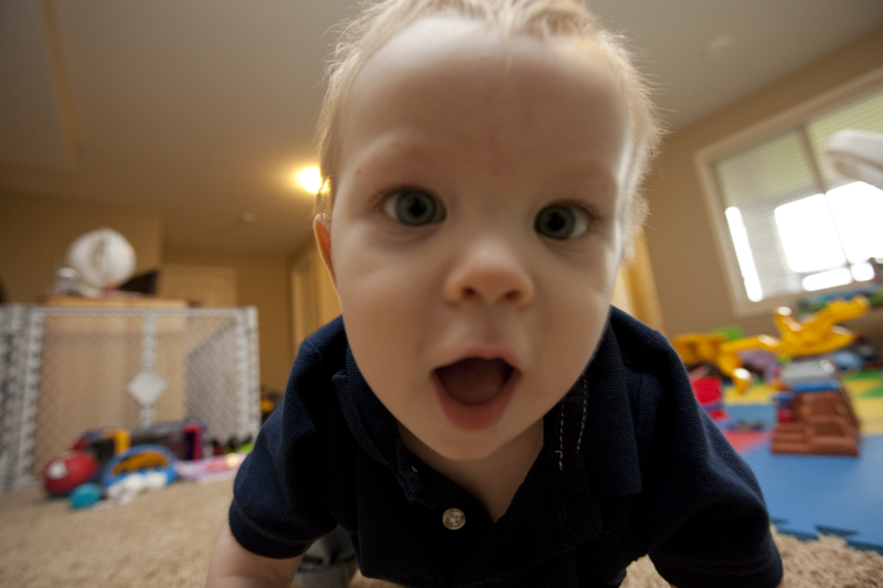 Gratuitous cuteness shot
