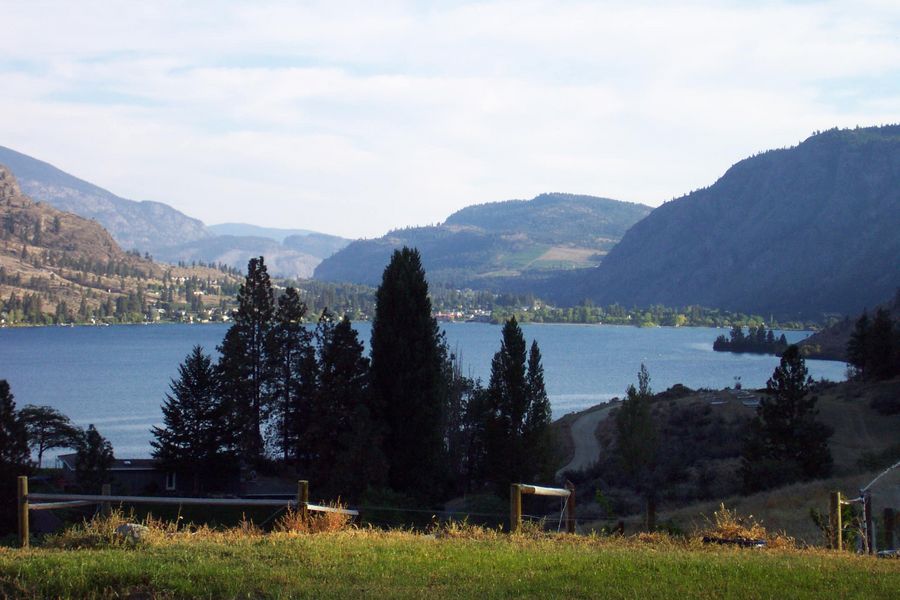 Kaleden Vineyard
