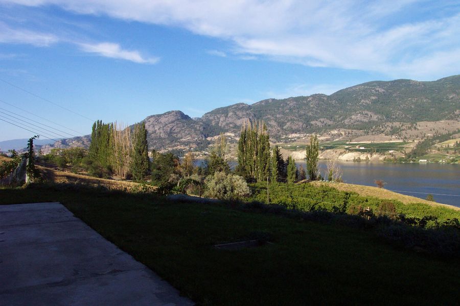 Kaleden Vineyard
