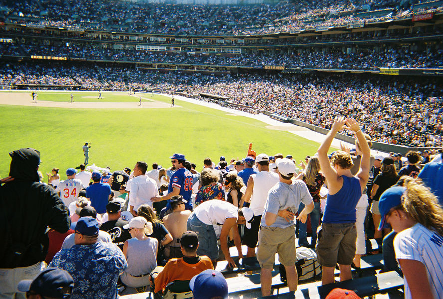 Cubs fans celebrate

