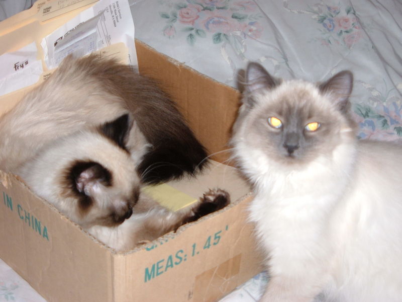 Becky & Katie
