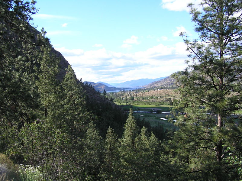 Looking north towards Okanagan Falls
