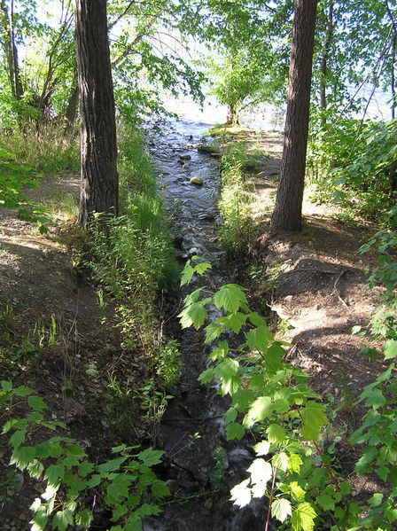 Bertram Creek Park
