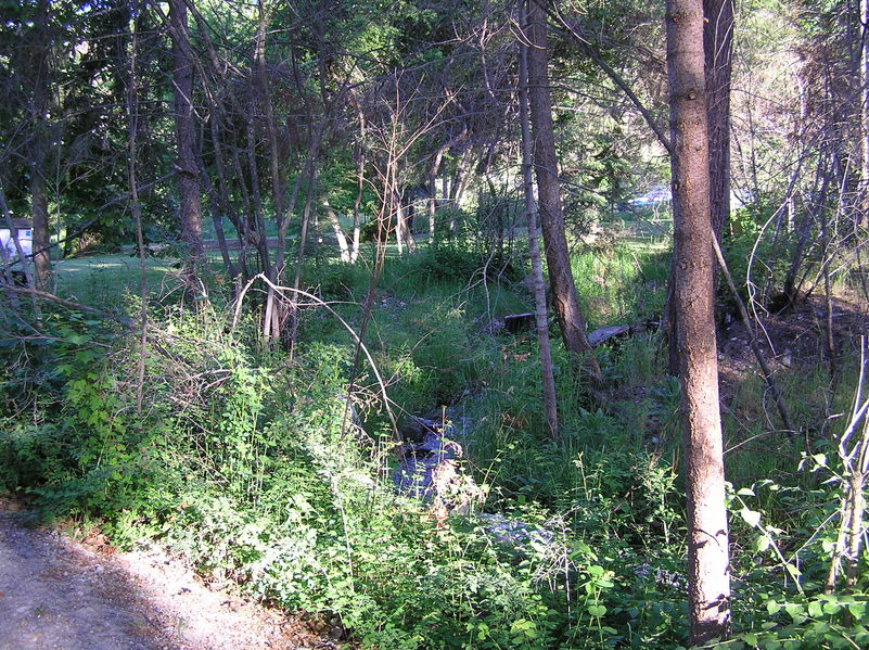 Bertram Creek Park
