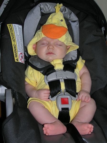 Chicky
