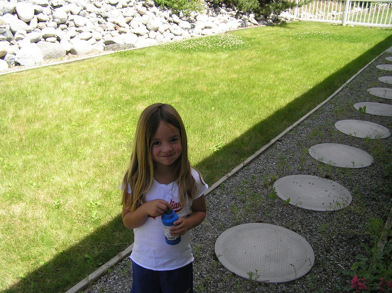 In our backyard
