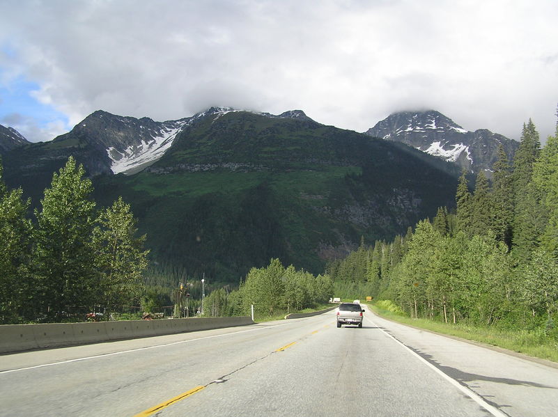 A very green hill side
