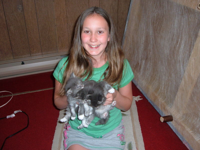 Becca & Becky's kittens
