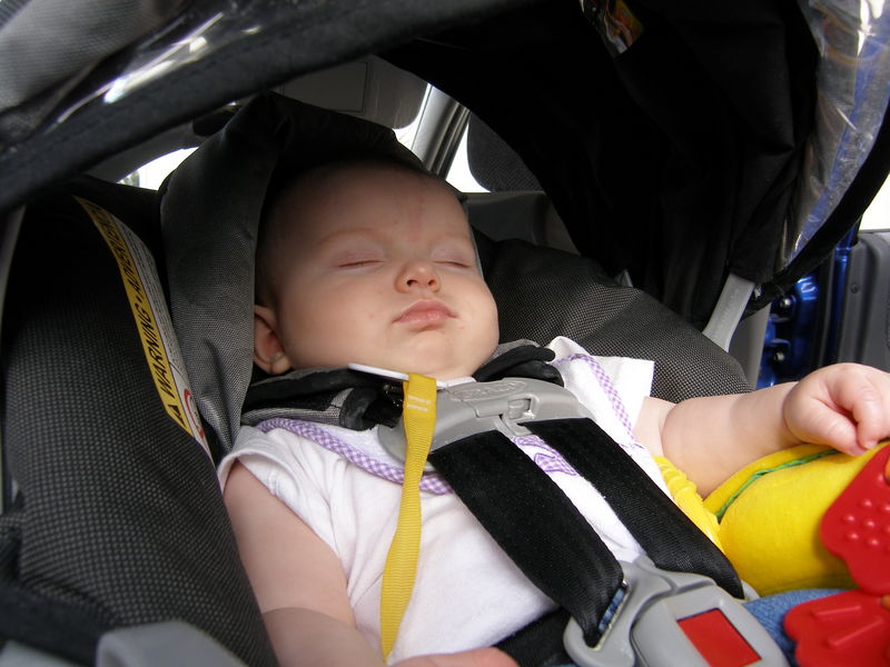 Maddi fell asleep on the drive down to the festival
