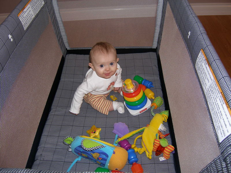 In her playpen, on her very first Thanksgiving
