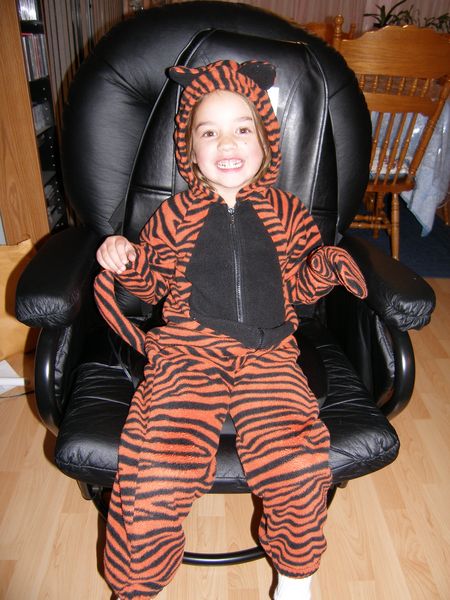 Kaija the tiger
