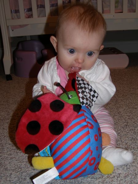 Gratuitous cuteness shot
